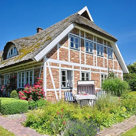 Apartment - 2 Vilmnitz